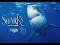 Download upcoming horror movies 2011/2012 MP3 song and Music Video