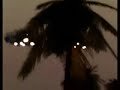 UFO OVER HAITI ** PROOF OF FAKE** ANALYSIS OF THE TREES