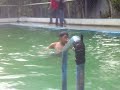 makoy swimmer 1