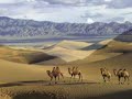 Mongolia, Uyanga, Chingees Khan, SIGNer, signer.despeus.com