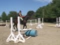 gandalf schooling.wmv gandalf schooling.wmv
