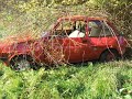 Naše Crash video
