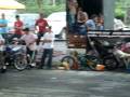 videos de piques de motos en la marina 20