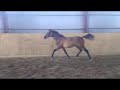 Caramelle Juli -08