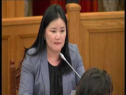 Монгол улсын 2017 оны төсөв 9.4 хувиар давж биелжээ