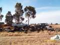 videos de ( Faces Of Death ) Toyota Jumping Gone Wrong Aftermath