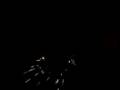 videos de Rodando Bombril em Chamas
