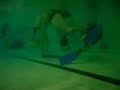 Octopush Frenzy! (Mercian Divers SAA 39)