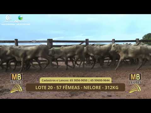 542� LEIL�O VIRTUAL MB LEIL�ES