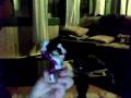ben10 Return of the Omnitrix preview