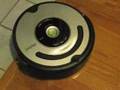 Roomba 560 Ratteler Tamed