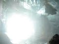 fuerzabruta
