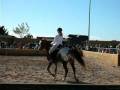 videos de Horse Riding Dressage Horse Show San Bruno Torrevieja Spain