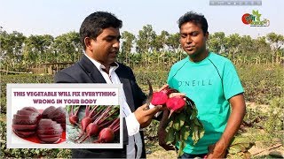 বিটরুট (beetroot)-সয়েল...