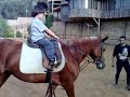 horse riding Amine Abou Khalil