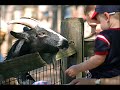 Little Rock Attractions Outdoors
