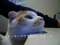 マッサージで気持ちいいポッケ