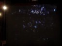David Guetta @ Albufeira 2008 (helemaal los)