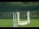 Rachael + Kira at Felbridge Horse Show