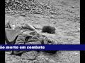 Trabalho de História Guerra Civil Americana