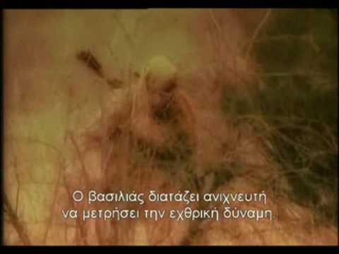 YouTube Preview Image