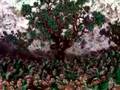 Apple on a Tree