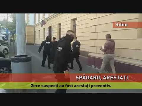 Zece persoane arestate preventiv în dosarul înmatriculărilor frauduloase
