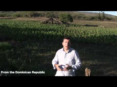 dominicantobaccobarn