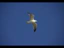 Vuelo por los cielos Vuelo por los cielos