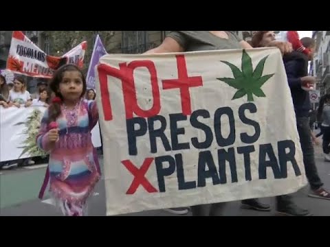 Argentinier fordern Legalisierung von Marihuana