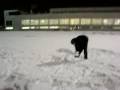 videos de Residencia Blume Nevada CSD