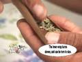 5 blunts in a SINGLE PACK!!!