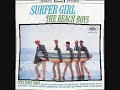 teledysk, klip, Beach boys,- Your Summer Dream