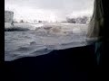 Polar Bears at the Detroit Zoo 2