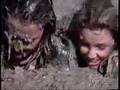 Collection - Dynasty Catfights