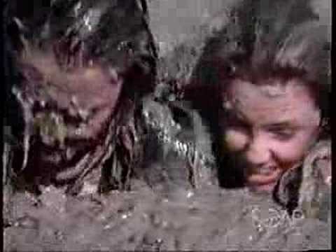 Collection - Dynasty Catfights
