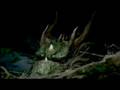 GE: Dragon
