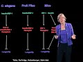 Cynthia Kenyon (UCSF