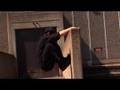 Parkour Tutorial - Kong To Cat