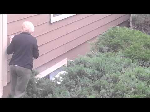 Baby Deer Is Saved As Mama Deer Watches!