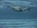 escuela natación con aletas