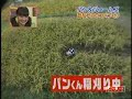 Un Impresionante Mono Agricultor - 4 Parte