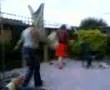 Drunk old bids pretending to dance!