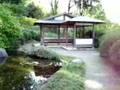 Voor de botanische tuinen hyves: Japanse tuin-to-be