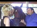 James Bond unbridled with Susan Kayne James Bond unbridled with Susan Kayne
