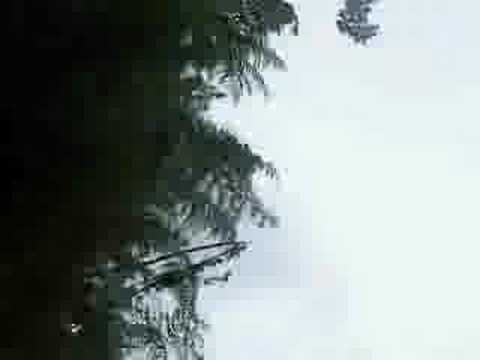See video See video