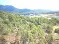 Skyrail - Cairns, Australia