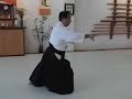 Taichi style Aikido 42 Forms