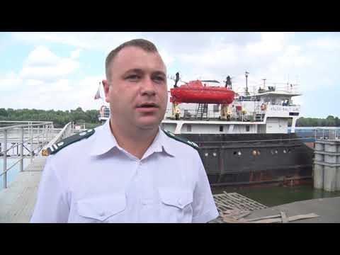 О досмотре подкарантинной продукции, предназначенной на экспорт в Ростовской области