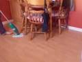 bowzer the Basset Hound Vs. The Vaccume of Doom